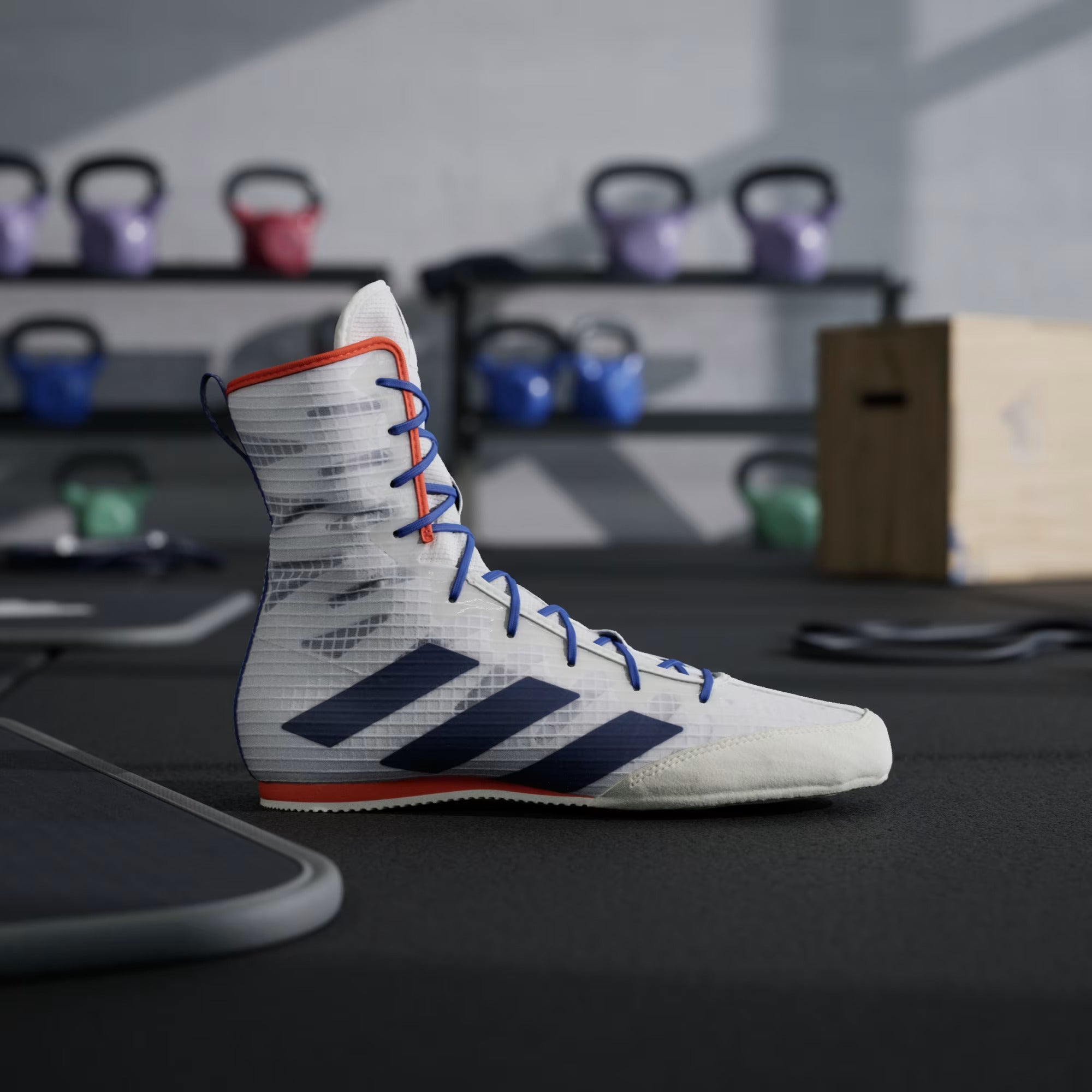 Adidas BOX HOG 4 Boxing Shoes White Blue image Video