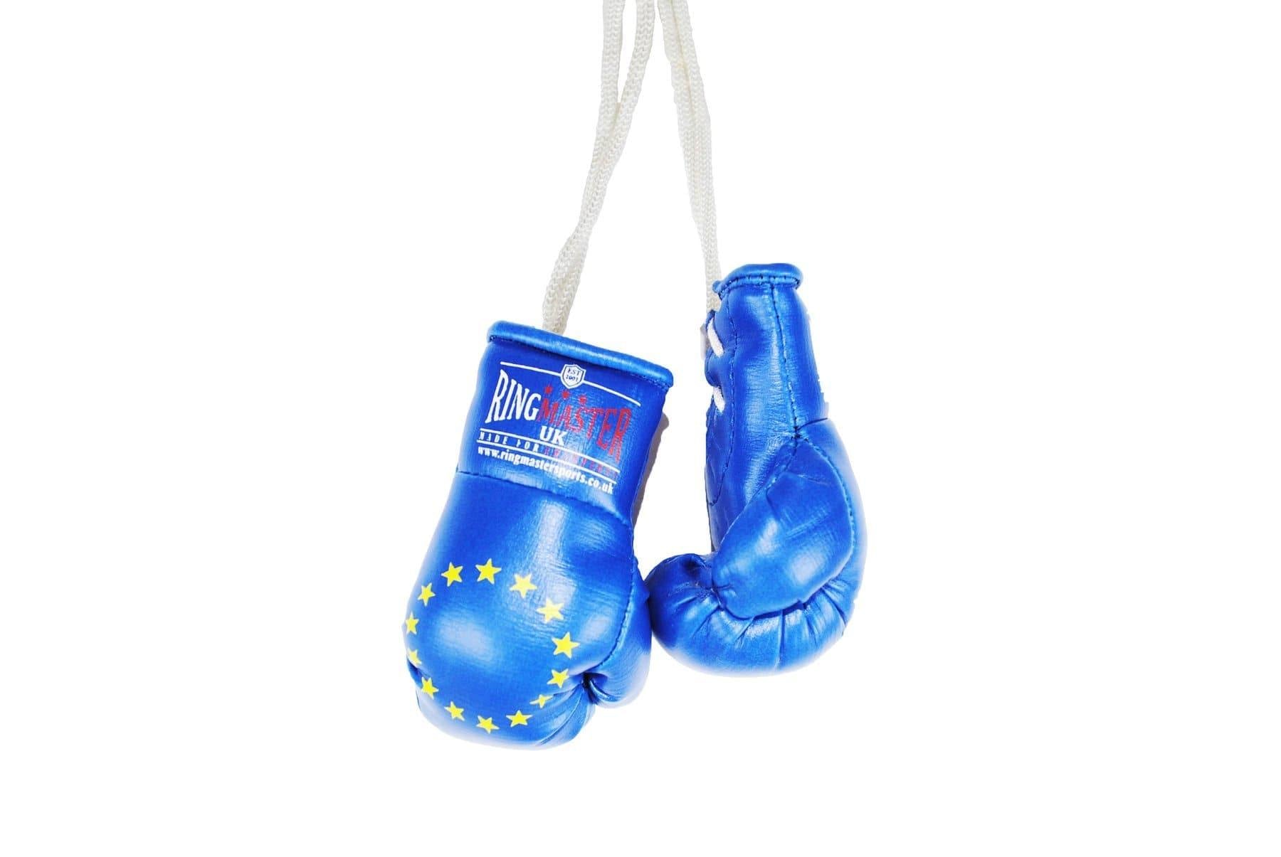 RingMaster Sports Mini Boxing Gloves Car Hanger - RingMaster Sports