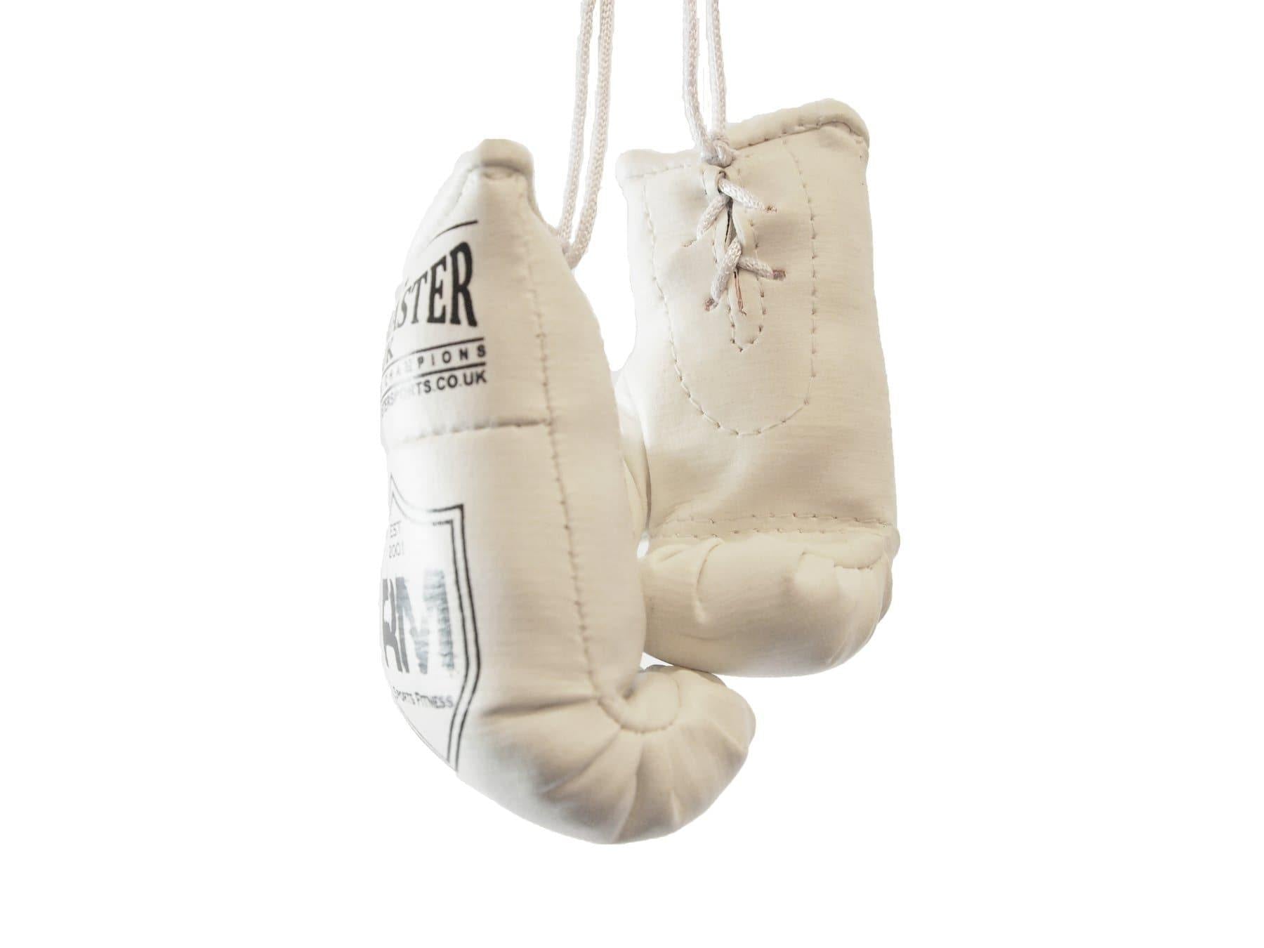 RingMaster Sports Mini Boxing Gloves Car Hanger - RingMaster Sports