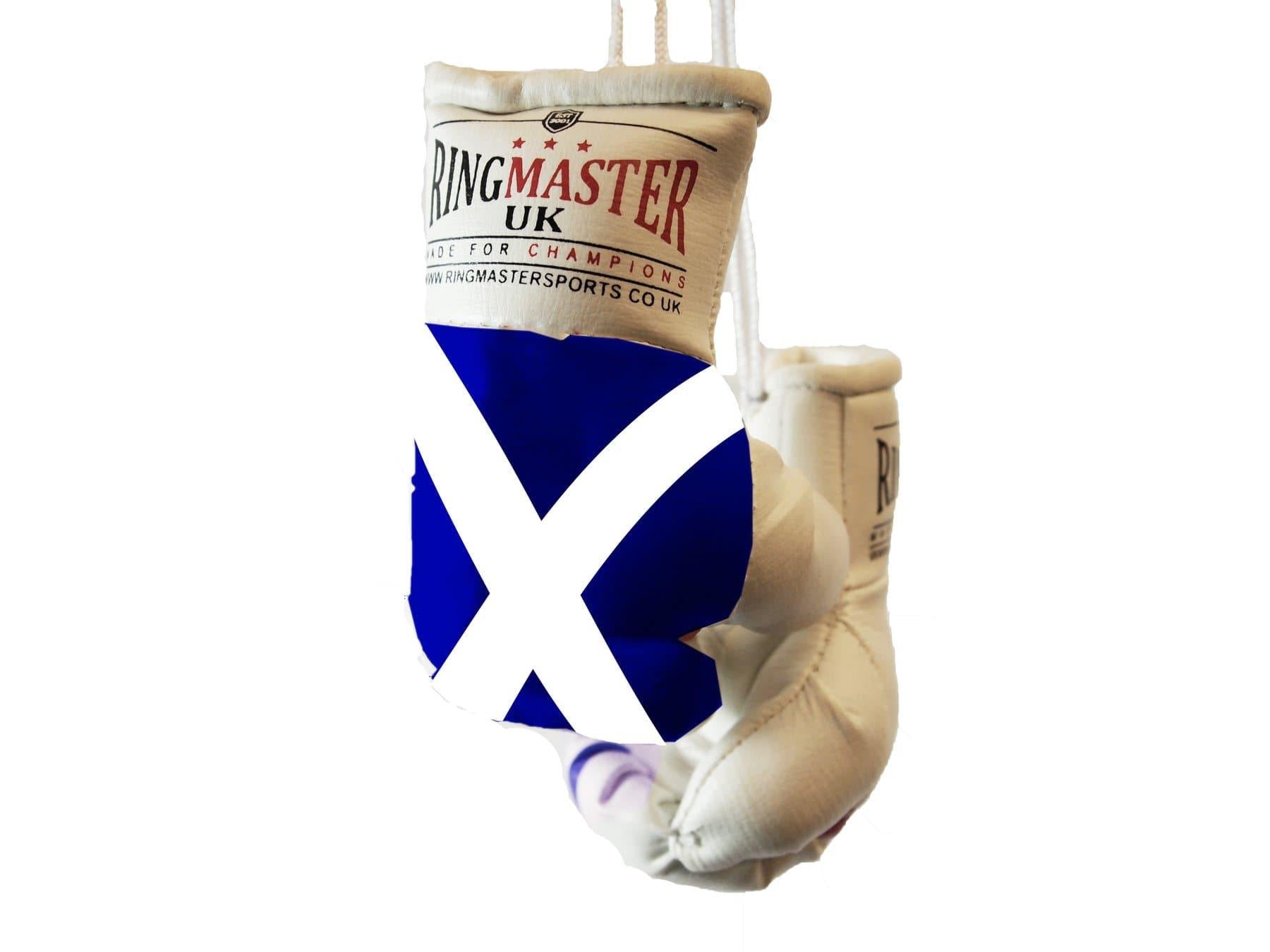 RingMaster Sports Mini Boxing Gloves Car Hanger - RingMaster Sports