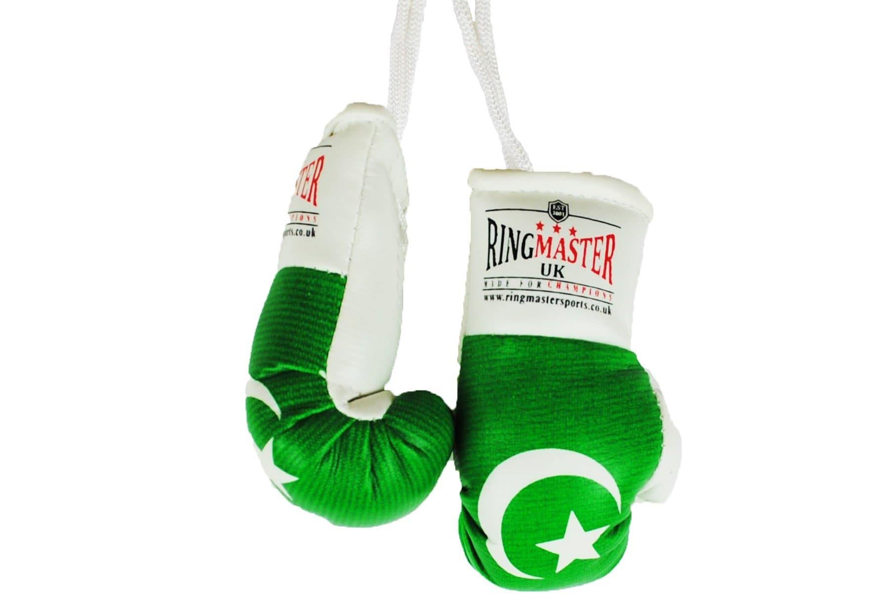 RingMaster Sports Mini Boxing Gloves Car Hanger - RingMaster Sports