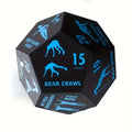 12 Sided Fitness Dice for Full Body Training