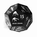 12 Sided Fitness Dice for Full Body Training