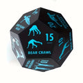 12 Sided Fitness Dice for Full Body Training
