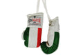RingMaster Sports Mini Boxing Gloves Car Hanger