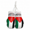 RingMaster Sports Mini Boxing Gloves Car Hanger