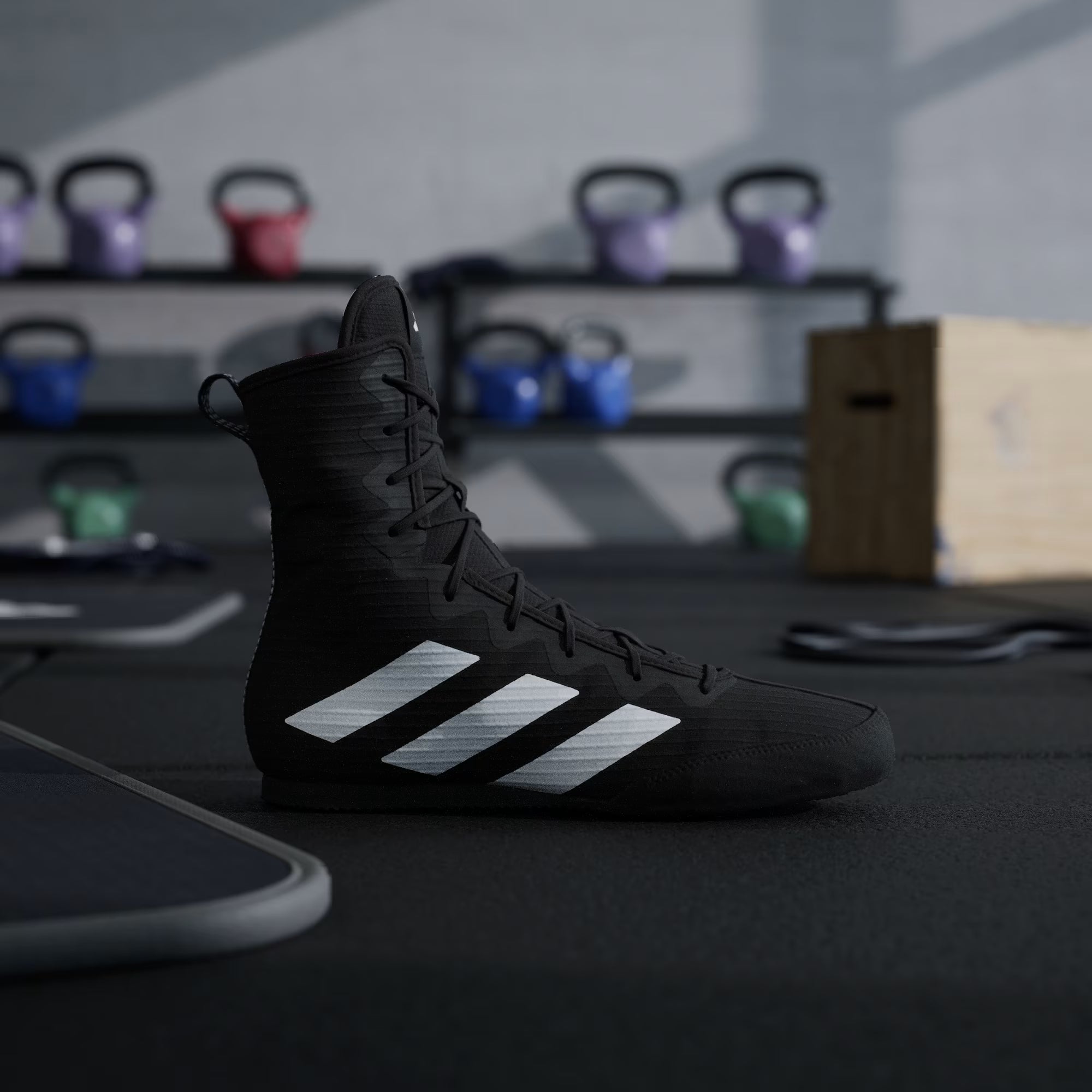 Front view of adidas Box Hog boxing shoes in gym