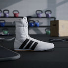 adidas Box Hog Classic Cloud White/Core Black shoes worn during boxing footwork drills