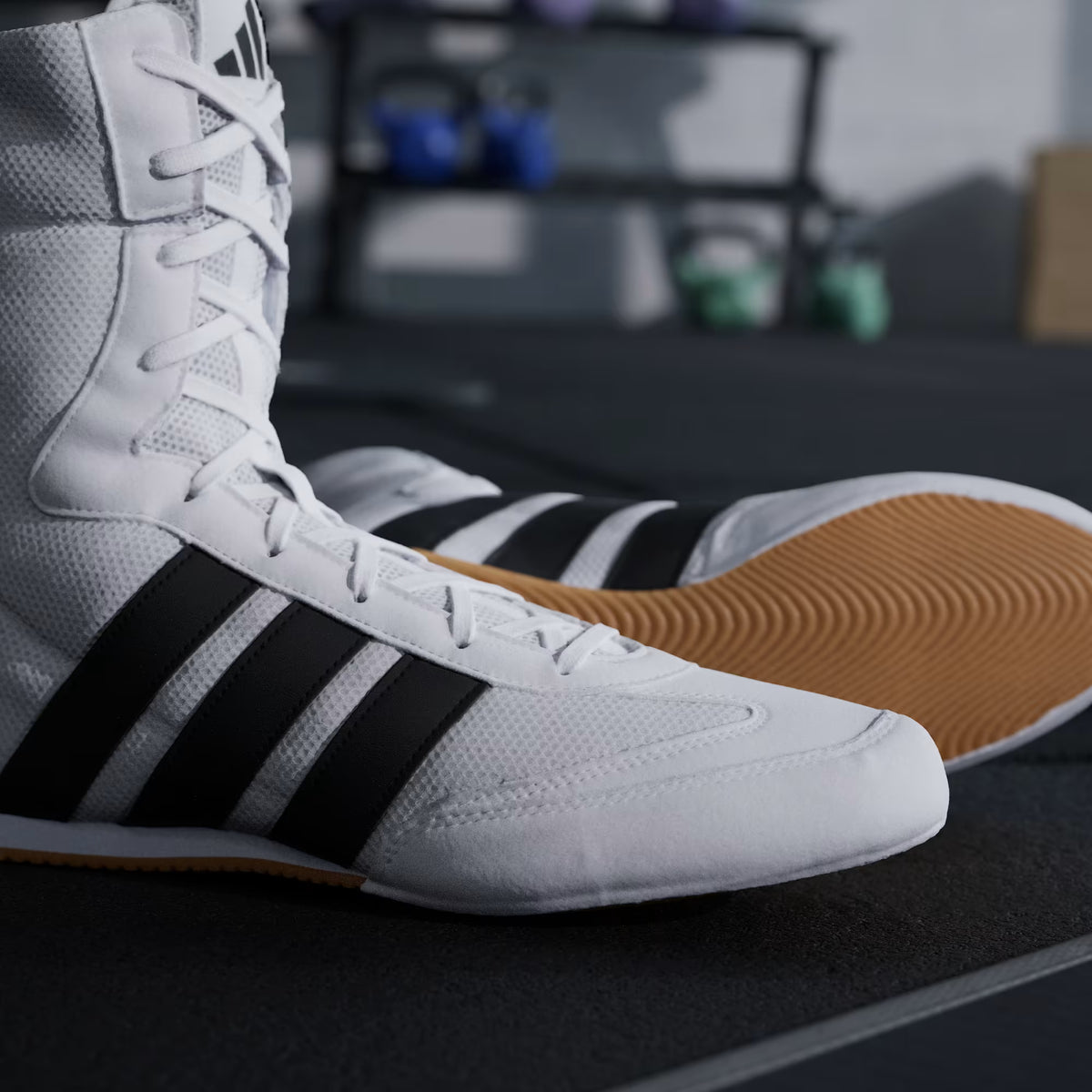 Lifestyle close-up of adidas Box Hog Classic Cloud White/Core Black boxing shoes showing the foldable collar and classic white design