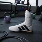 adidas Box Hog Classic Cloud White/Core Black boxing shoes worn during a technical gym session