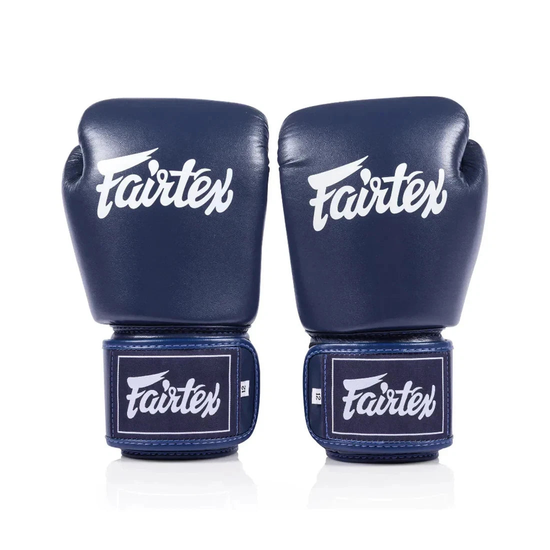 Fairtex BGV1C Plus boxing gloves blue front view
