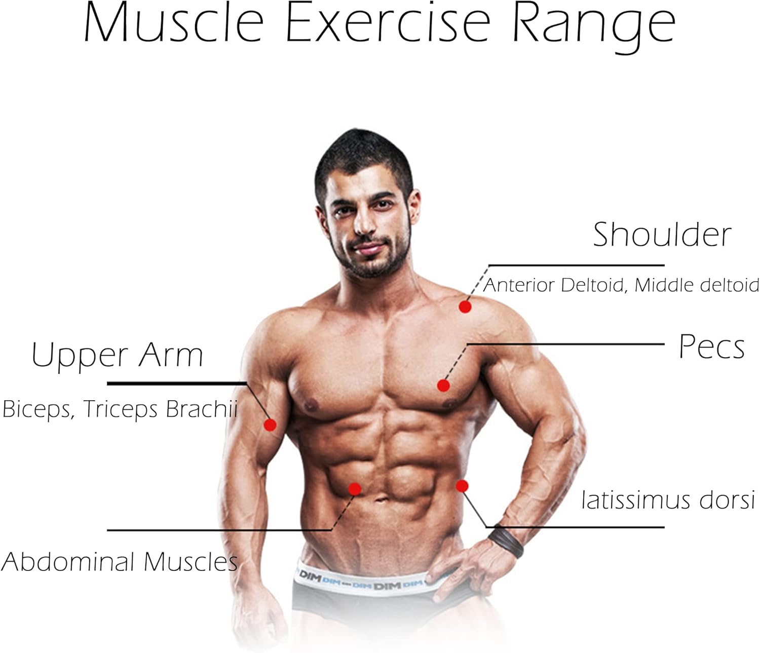 High-density foam knee pad included with ab roller for knee protection