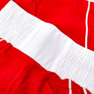Nike AIBA boxing shorts back view showing competition fit design