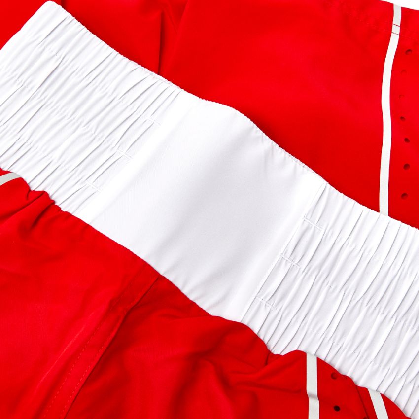 Nike AIBA boxing shorts back view showing competition fit design