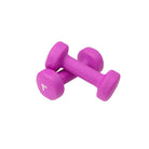 1kg Neoprene Dumbbells - Purple (Pair) - RINGMASTER SPORTS - Made For Champions