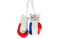 RingMaster Sports Mini Boxing Gloves Car Hanger - RingMaster Sports