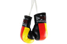 RingMaster Sports Mini Boxing Gloves Car Hanger - RingMaster Sports