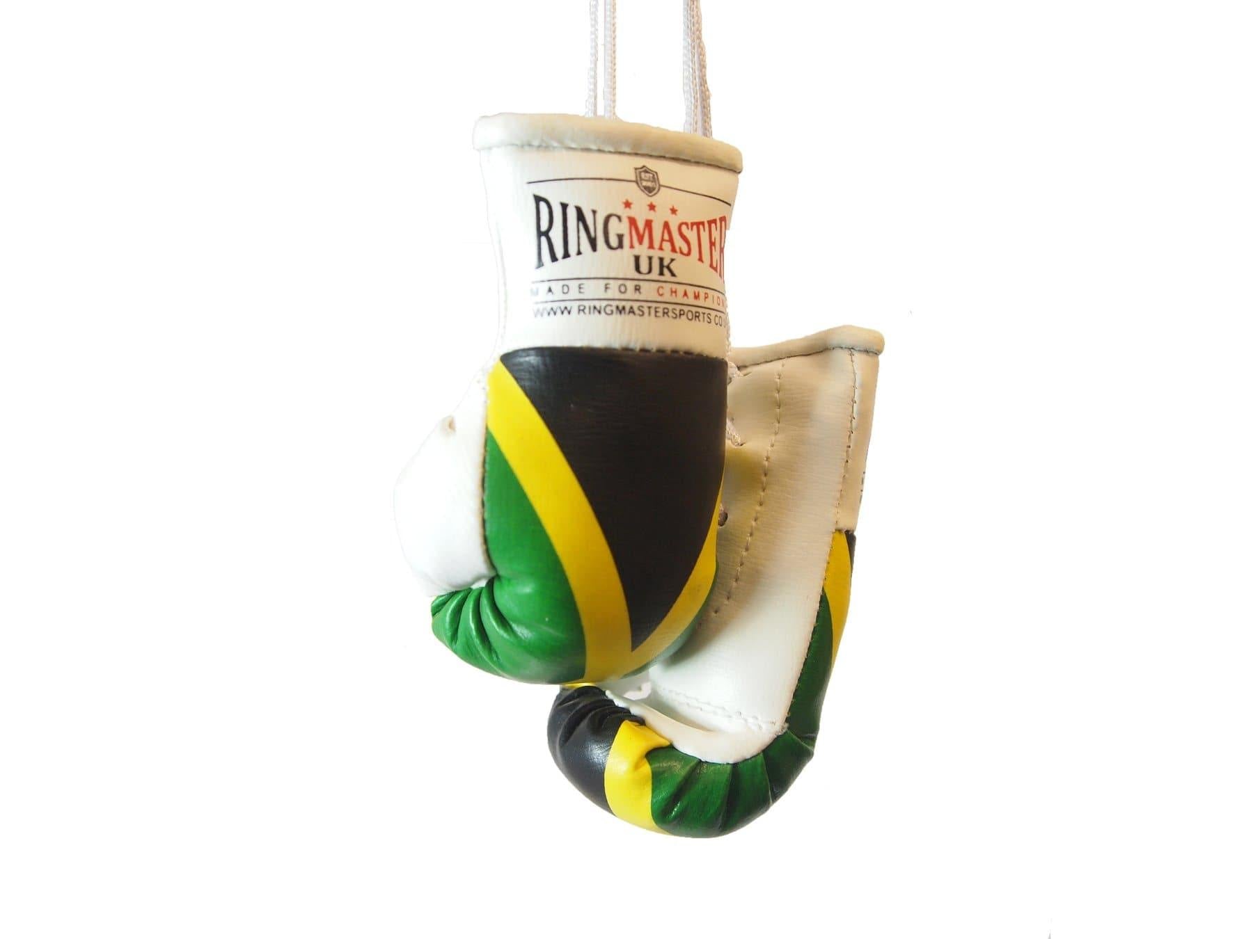 RingMaster Sports Mini Boxing Gloves Car Hanger - RingMaster Sports